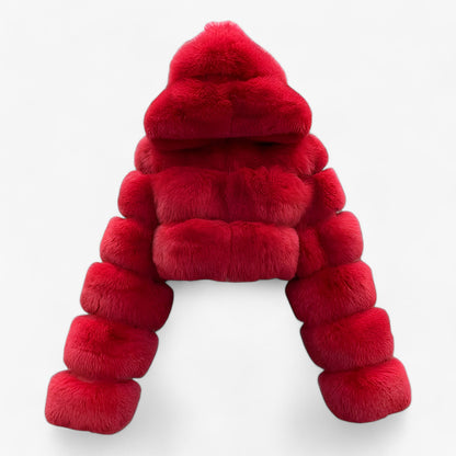 Rot